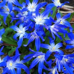 Meet your Posher, Sameerah